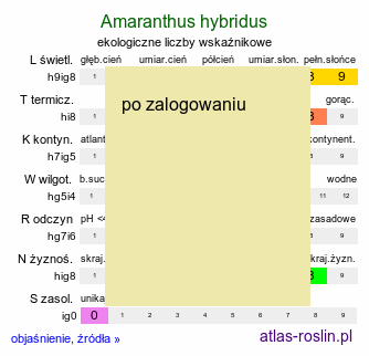 ekologiczne liczby wskaźnikowe Amaranthus hybridus