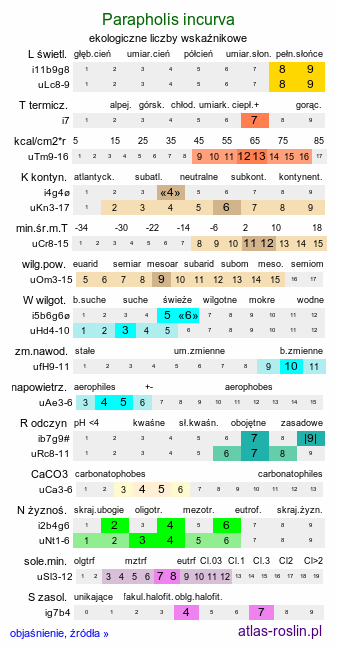 ekologiczne liczby wskaźnikowe Parapholis incurva (liściokłos zakrzywiony)