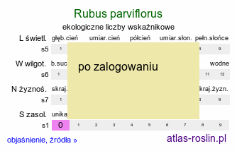 ekologiczne liczby wskaźnikowe Rubus parviflorus (jeżyna nutkajska)