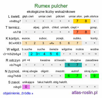 ekologiczne liczby wskaźnikowe Rumex pulcher (szczaw nadobny)