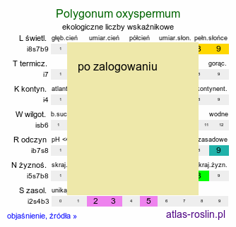 ekologiczne liczby wskaźnikowe Polygonum oxyspermum (rdest nadbrzeżny)