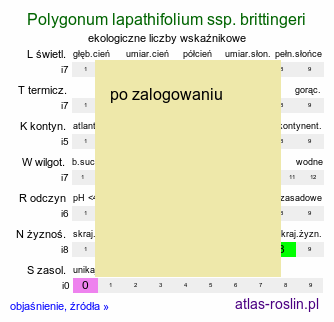 ekologiczne liczby wskaźnikowe Polygonum lapathifolium ssp. brittingeri (rdest szczawiolistny Brittingera)
