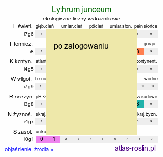 ekologiczne liczby wskaźnikowe Lythrum junceum (krwawnica sitowata)
