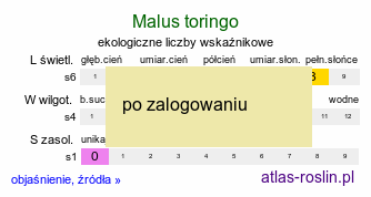 ekologiczne liczby wskaźnikowe Malus toringo (jabłoń japońska)