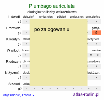ekologiczne liczby wskaźnikowe Plumbago auriculata (ołownik uszkowaty)