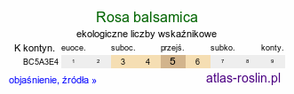 ekologiczne liczby wskaźnikowe Rosa balsamica