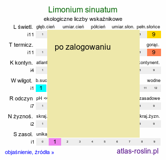 ekologiczne liczby wskaźnikowe Limonium sinuatum (zatrwian wrębny)