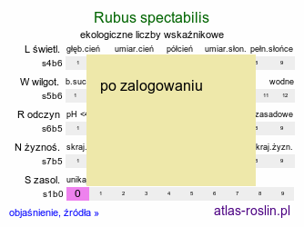 ekologiczne liczby wskaźnikowe Rubus spectabilis (jeżyna okazała)