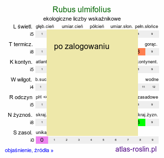 ekologiczne liczby wskaÅºnikowe Rubus ulmifolius