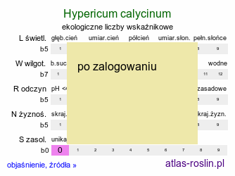 ekologiczne liczby wskaźnikowe Hypericum calycinum (dziurawiec kielichowaty)
