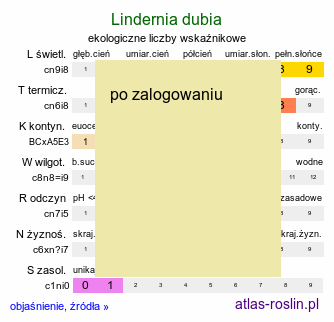 ekologiczne liczby wskaźnikowe Lindernia dubia (lindernia ząbkowana)
