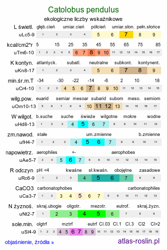 ekologiczne liczby wskaźnikowe Catolobus pendulus (gęsiówka zwisła)