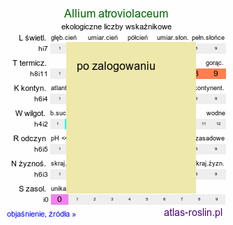 ekologiczne liczby wskaźnikowe Allium atroviolaceum