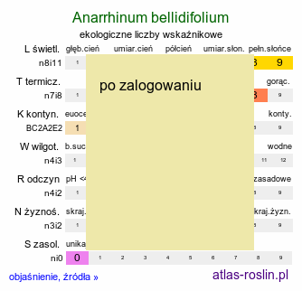 ekologiczne liczby wskaźnikowe Anarrhinum bellidifolium