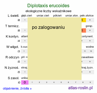 ekologiczne liczby wskaźnikowe Diplotaxis erucoides (dwurząd rokiettowaty)