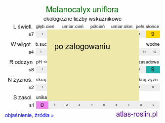 ekologiczne liczby wskaÅºnikowe Melanocalyx uniflora