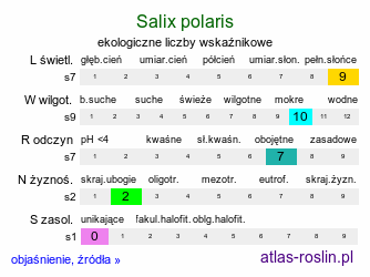 ekologiczne liczby wskaźnikowe Salix polaris (wierzba polarna)