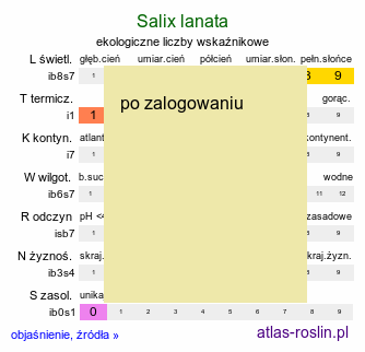 ekologiczne liczby wskaźnikowe Salix lanata (wierzba wełnista)