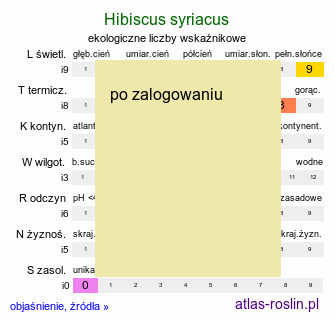 ekologiczne liczby wskaÅºnikowe Hibiscus syriacus (ketmia syryjska)