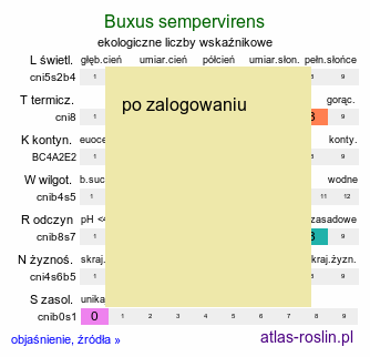 ekologiczne liczby wskaÅºnikowe Buxus sempervirens (bukszpan wieczniezielony)