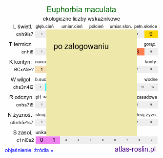 ekologiczne liczby wskaźnikowe Euphorbia maculata (wilczomlecz plamisty)