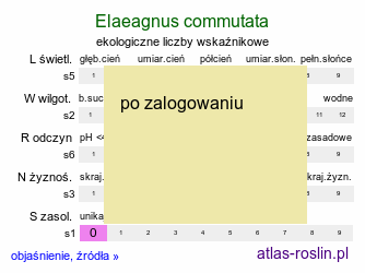 ekologiczne liczby wskaźnikowe Elaeagnus commutata (oliwnik srebrzysty)