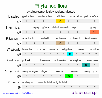 ekologiczne liczby wskaźnikowe Phyla nodiflora