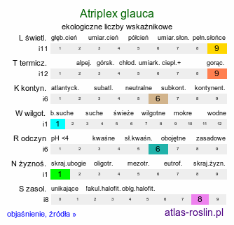 ekologiczne liczby wskaźnikowe Atriplex glauca