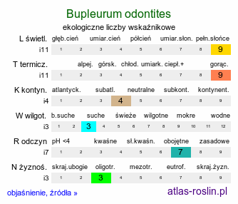 ekologiczne liczby wskaźnikowe Bupleurum odontites (przewierceń Desfontaines'a)