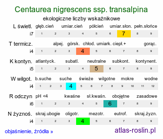 ekologiczne liczby wskaźnikowe Centaurea nigrescens ssp. transalpina (chaber zaalpejski)