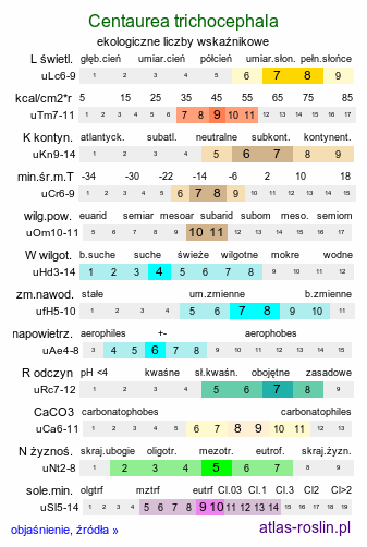 ekologiczne liczby wskaźnikowe Centaurea trichocephala (chaber szorstkogłówkowy)