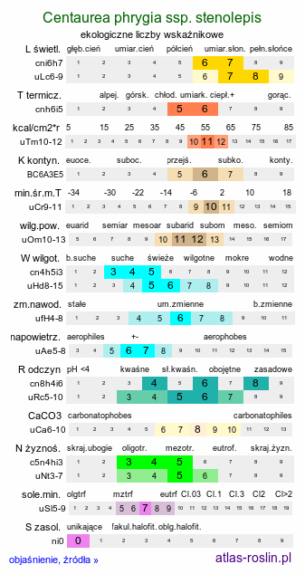 ekologiczne liczby wskaźnikowe Centaurea stenolepis (chaber wąskookrywowy)