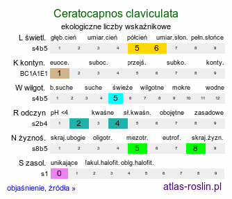 ekologiczne liczby wskaźnikowe Ceratocapnos claviculata (kokorycz maczużkowata)