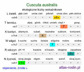 ekologiczne liczby wskaźnikowe Cuscuta australis (kanianka południowa)