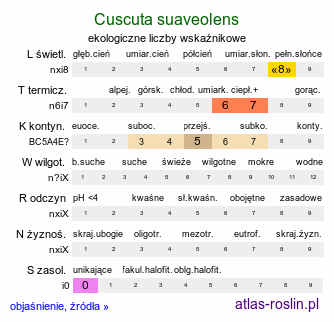 ekologiczne liczby wskaźnikowe Cuscuta suaveolens (kanianka wonna)