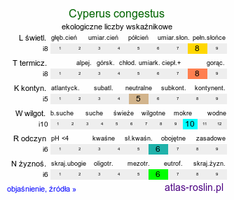 ekologiczne liczby wskaźnikowe Cyperus congestus (cibora zwarta)