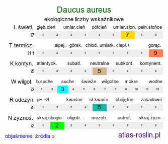 ekologiczne liczby wskaźnikowe Daucus aureus (marchew złota)