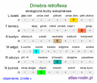 ekologiczne liczby wskaźnikowe Dinebra retroflexa (dinebra odgięta)