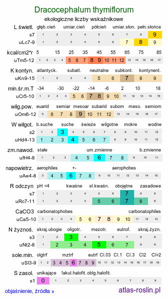 ekologiczne liczby wskaźnikowe Dracocephalum thymiflorum (pszczelink macierzankowy)