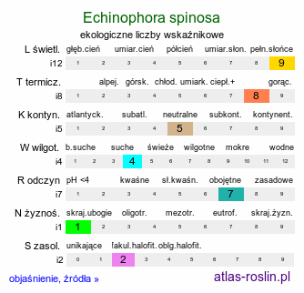 ekologiczne liczby wskaźnikowe Echinophora spinosa (baldaszkowiec kłujący)