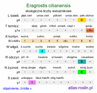 ekologiczne liczby wskaźnikowe Eragrostis cilianensis (miłka wielka)