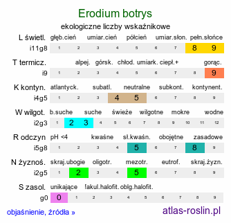 ekologiczne liczby wskaźnikowe Erodium botrys (iglica groniasta)