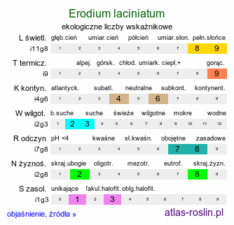 ekologiczne liczby wskaźnikowe Erodium laciniatum (iglica wcinana)