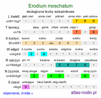 ekologiczne liczby wskaźnikowe Erodium moschatum (iglica piżmowa)