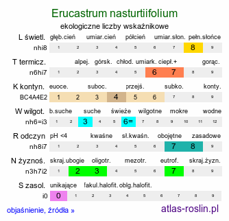 ekologiczne liczby wskaźnikowe Erucastrum nasturtiifolium (rukwiślad rzepicholistny)