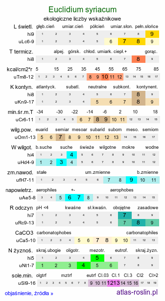 ekologiczne liczby wskaźnikowe Euclidium syriacum (porczak syryjski)