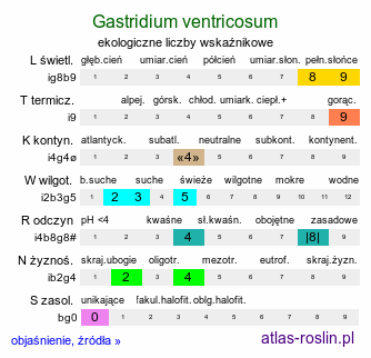 ekologiczne liczby wskaźnikowe Gastridium ventricosum