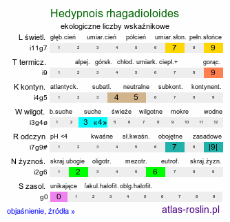 ekologiczne liczby wskaźnikowe Hedypnois rhagadioloides (słodkokwiat francuski)