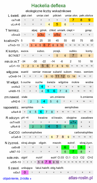 ekologiczne liczby wskaźnikowe Hackelia deflexa (lepnik odgiętoowockowy)