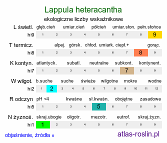 ekologiczne liczby wskaźnikowe Lappula heteracantha (lepnik różnokolcowy)